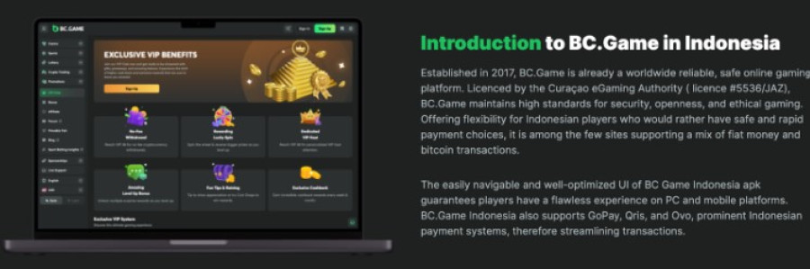 Complete Guide to Log In Bc Games Your Gateway to Thrilling Gaming